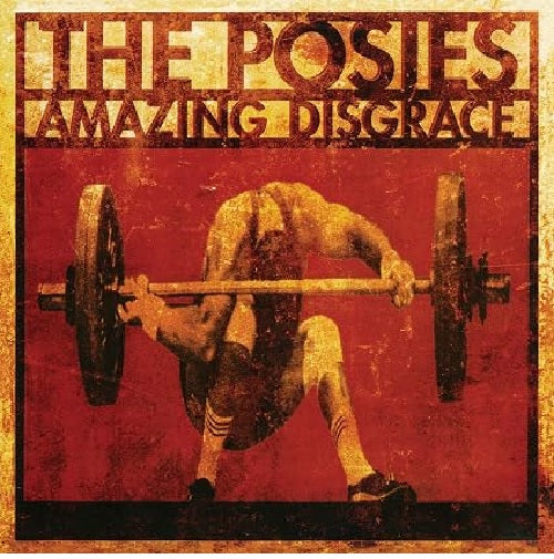 Amazing Disgrace