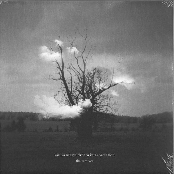 Dream Interpretation (Remixes)