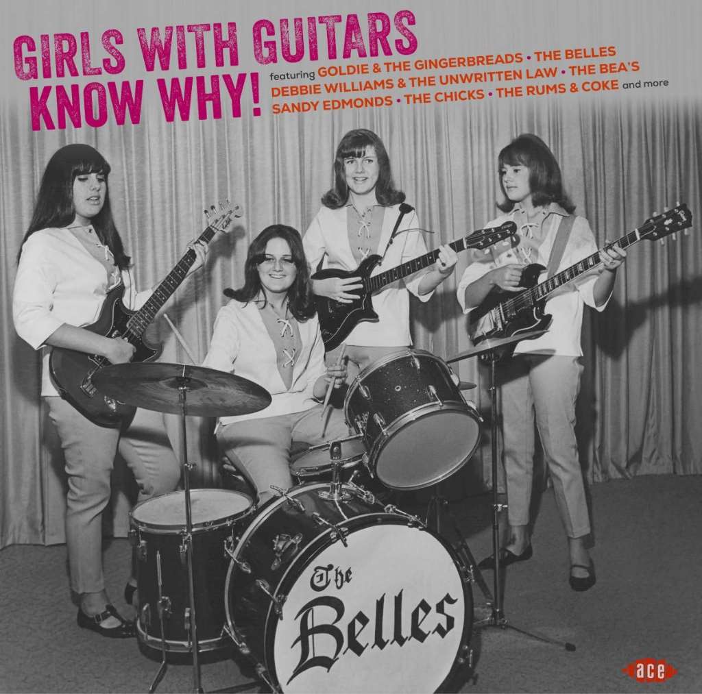 Girls With Guitars Know Why! / Various