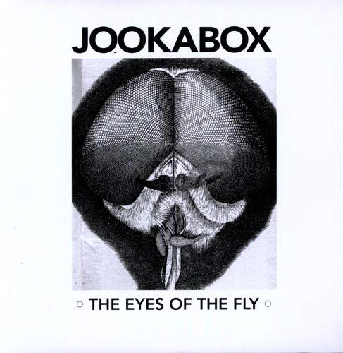 The Eyes Of The Fly