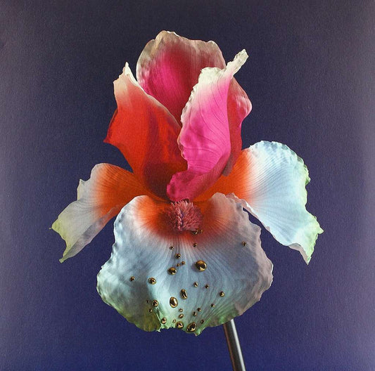Tiny Cities Feat Beck (Lindstrom & Prins Thomas)