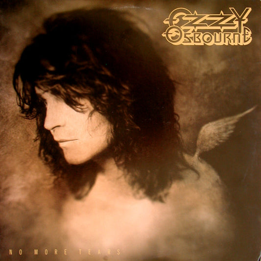 No More Tears [Vinyl]