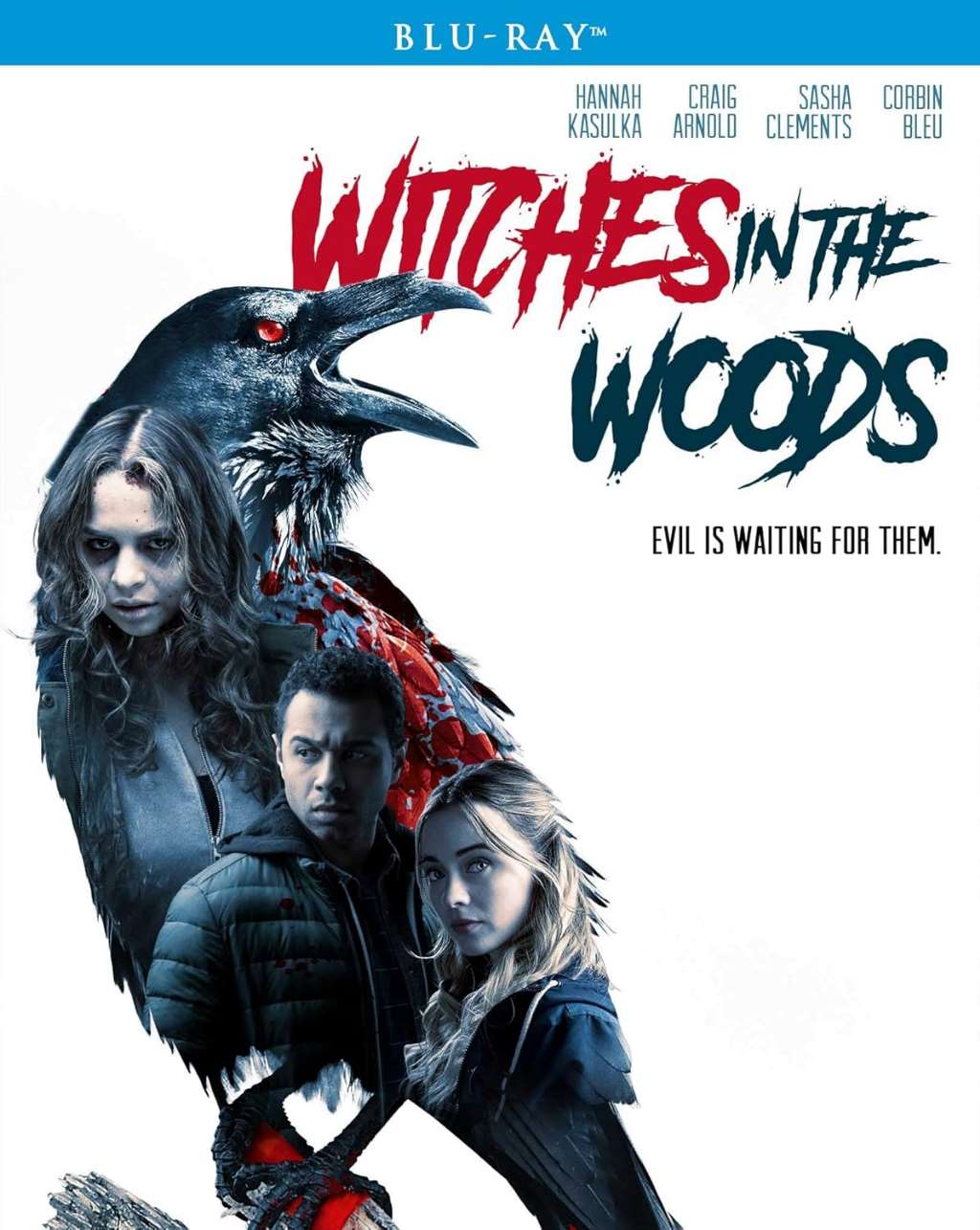 Witches in the Woods [Blu-ray]