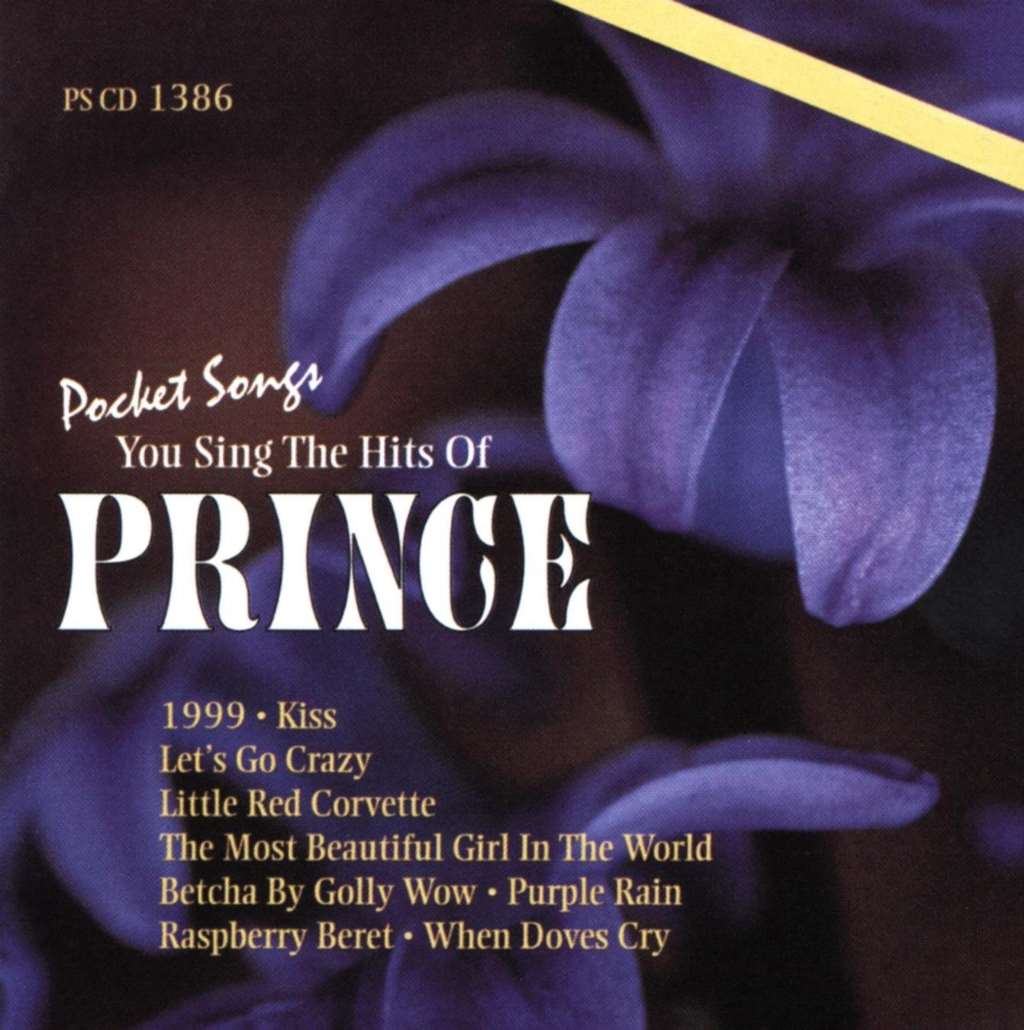 You Sing The Hits Of Prince (Karaoke)