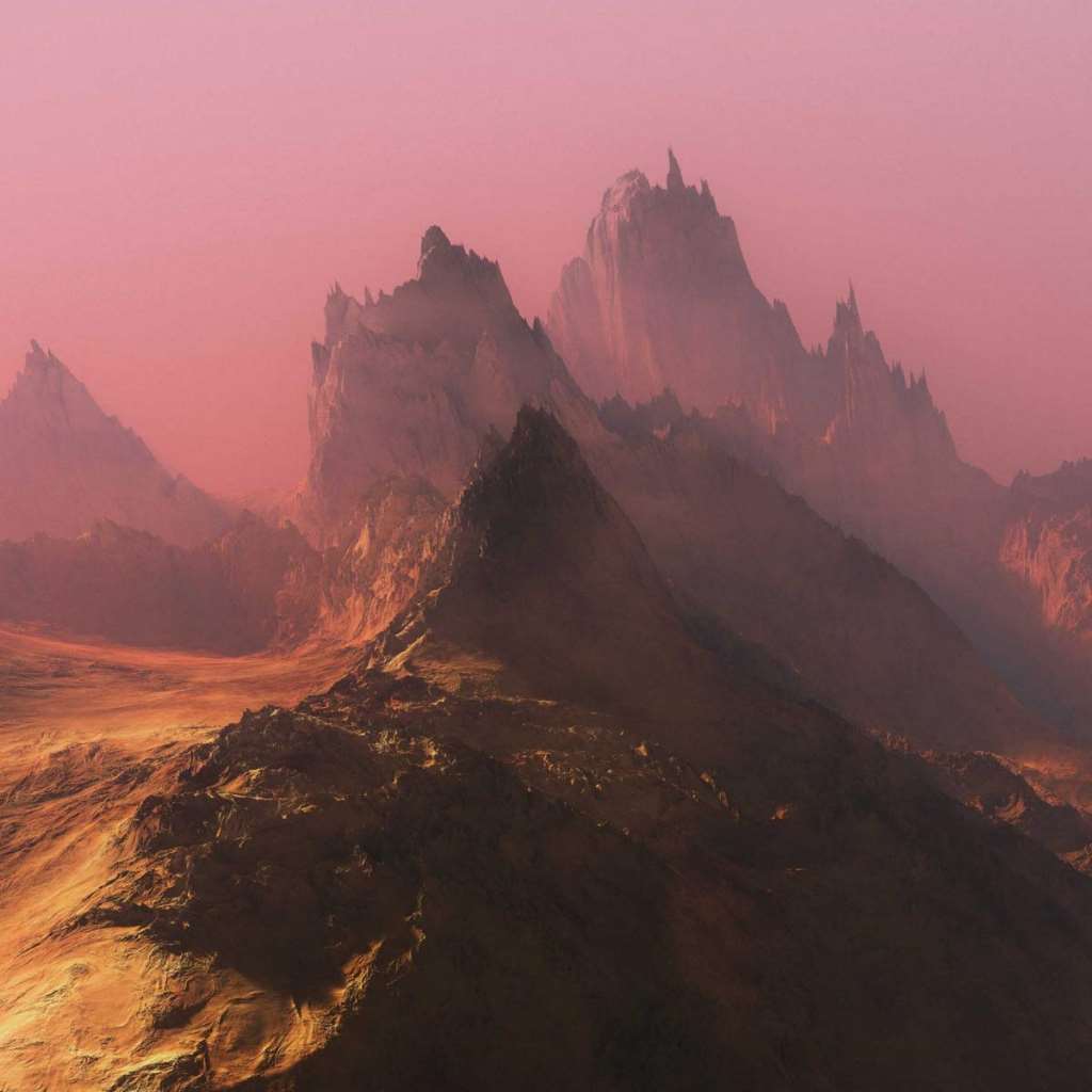 The Order of Nature[LP]