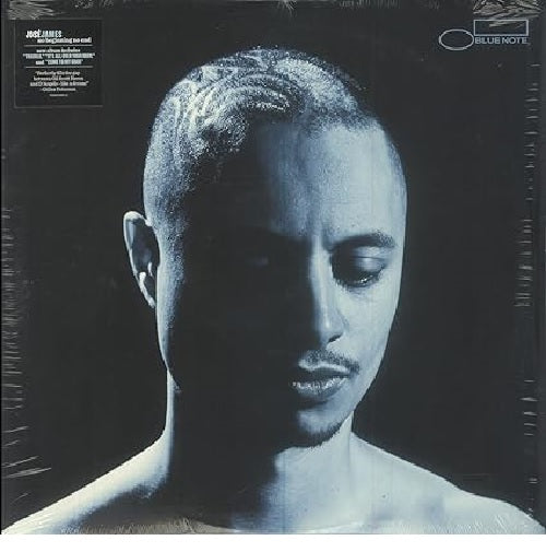 No Beginning No End[2 LP]